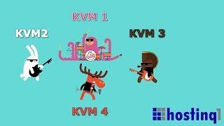 Linux KVM VPS Web Hosting in Chicago, USA | Hostinq1 USA