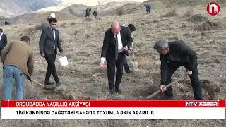 COP29 çərçivəsində Ordubad rayonunun Tivi kəndində meşəcinsli ağacların toxumlarının əkini aparılıb