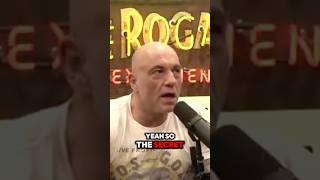the secret to success is simple?! #joerogan #joeroganclips #jre #podcast #psychology