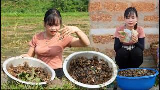 Girl digs for crabs, catches frogs and snails and sells agricultural products. Vietnamese rural girl