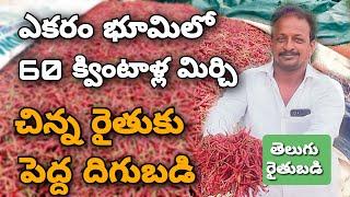 మిర్చి రైతు విజయం | 1.10 ఎకరాల్లో 70 క్వింటాళ్ల దిగుబడి | Telugu RythuBadi