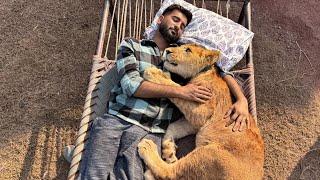 Lion Or Turab Best Friends Bn Gaiy Dono Gly Lg K So Gaiy