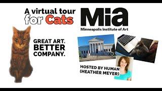 Mia Virtual CAT TOUR with Heather Meyer, The Theater of Public Policy