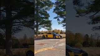 New Vegas Yellow Audi R8 In The Wild!