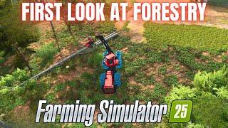 FIRST LOOK AT FORESTRY - Farming Simulator 25