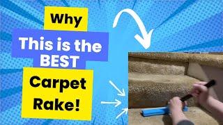 Review of Carpet Rake for Pet Hair Removal