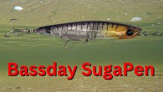 How Does The Bassday SugaPen TOPWATER Lure Look? | FISHING