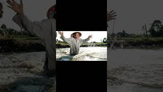 Ông lão và Capybara - Capy đánh DJ đám cưới làng #veo3 #viralvideo #viral #viralshorts
