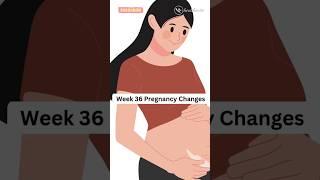 36 Weeks Pregnant: Baby's Almost Here!#pregnancy #pregnant #36weekspregnant #fetusdevelopment #fetus