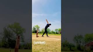 crirket lover