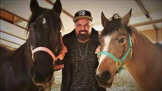 Artist JAYE uses an Acoustic Guitar to connect with a Horse | Watch until the end :)