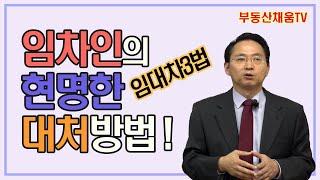 [임대차3법 03] 임대차3법 시대, 임차인의 현명한 대처 방법!