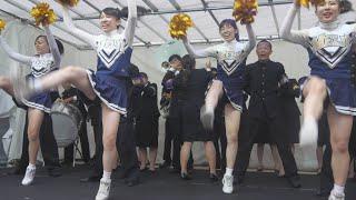 神田小川町ライブイベントワクワクFesta2017③ チャンスパターンメドレー 明治大学応援団バトン･チアリーディング部JESTERS