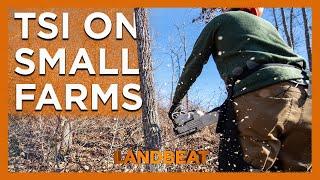 Small Property Timber Stand Improvement Tips!