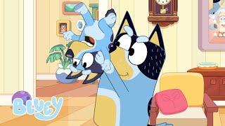 Hungry  | FULL BLUEY MINISODE | Bluey