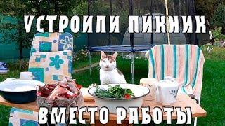 Устроили пикник вместо работы