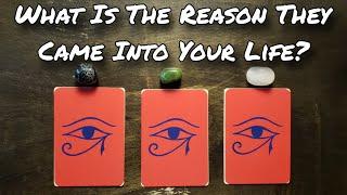  What Is The Reason They Came Into Your Life? Pick A Card Reading