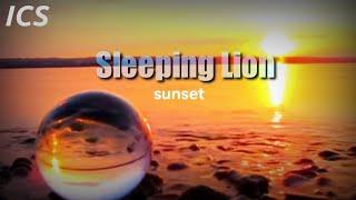 Sleeping Lion | Sunset #rnb