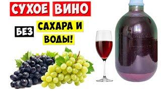 СУХОЕ ВИНО из ВИНОГРАДА без Сахара и Воды / Простой Рецепт!