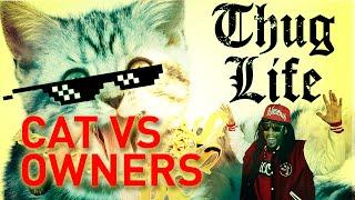 CAT CUCUMBER WIN. THUG LIFE . OWNERS FAIL