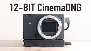 SIGMA fp is AMAZING for Video - 12 bit CinemaDNG RAW Video