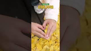 [낭만작가의 아산스케치] 노랗게 물든 아산 곡교천 은행나무길 #은행나무길 #아산시 #곡교천 #백일홍 #낭만작가