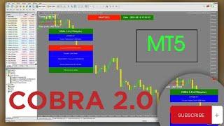 Cobra 2.0 Forex Robot MT5 FREE!