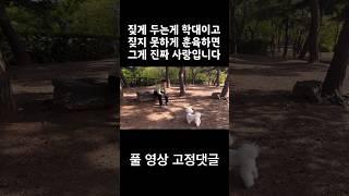 100만짖게 두는게 학대이고 짖지 못하게 훈육하면 그게 진짜 사랑입니다