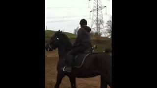 Riding lesson