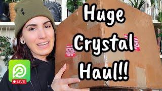 HUGE CRYSTAL HAUL!! 🩷️ Plant Story's Not Just For Plants!!  Apartment Botanist Unboxing