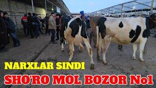 SHO‘RO MOL BOZOR SIGIRLAR NARXLAR SINDI BOZOR JUDA ARZON QAREN BOZOR DAXSHAT ASHADDIY OBUNACHILARI