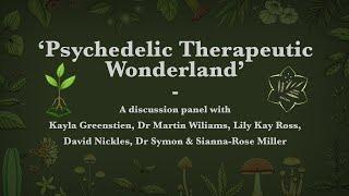 'Psychedelic Therapeutic Wonderland' - Misconduct within psychedelic-assisted therapy