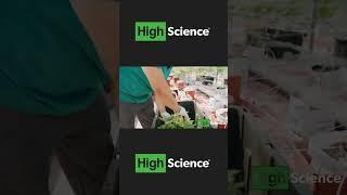 High Science® | S1 E2 SP2 Greenfingaz Farmz