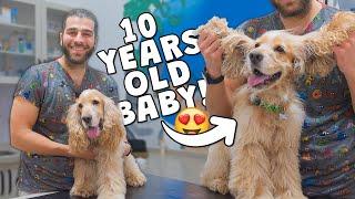 10 Years Old Big Baby! ( A Surprising Ear Infection! )