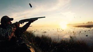 Opening Day Duck Hunt 2016