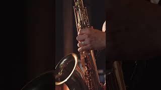 Saxophone Love Songs Instrumental 2024
