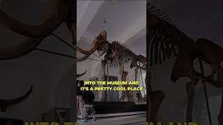  Exploring The Museum Of Osteology  #shorts