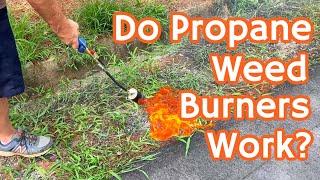 We Tried a PROPANE WEED BURNER To Get Rid of NUISANCE PLANTS - It Wasn't As Great As We Hoped