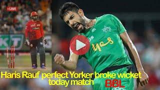 Haris Rauf destroy batting line today in BBL league match| perfect Yorker