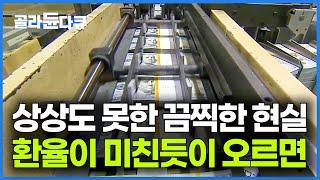 최악의 물가 상승에 쓰레기통을 뒤지는 사람들. 환율이 계속 오르면 어떻게 될까｜경제 다큐｜다큐프라임｜#골라듄다큐
