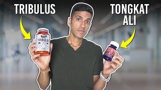 Tongkat Ali vs Tribulus, Don't Make A Mistake!