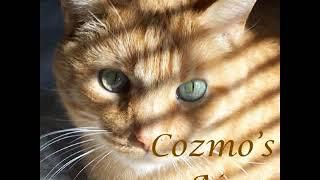 Cozmo's Air - 10 hours of Relaxing Music to Cats - 10 horas de Música relaxante para gatos