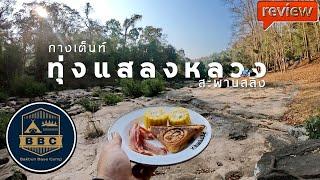 กางเต็นท์ อุทยานแห่งชาติ ทุ่งแสลงหลวง สะพานสลิง