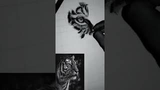 hyper realistic Tiger drawing for #it's art adda art competition #shorts