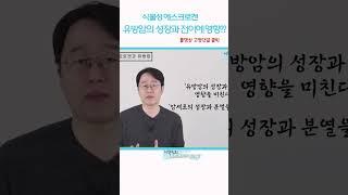 #유방암좋은음식 #에스트로겐음식 #식물성에스트로겐