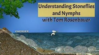 Understanding Stoneflies and Nymphs with Tom Rosenbauer