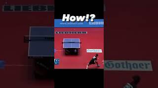 #PingPongDaily #TableTennisTips #TTHighlights #PingPongSkills #TableTennisLovers #GameOn