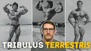 Tribulus Terrestris | The Old School Testosterone Booster