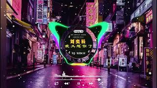 2025最火歌曲DJ Remix 抖音版 / 最佳Tik Tok混音音樂【2024月最火中文 】Chinese Dj Remix : En - 妥协 \ 阿冗 - 你的答案/ 刘瑾睿 - 若把你