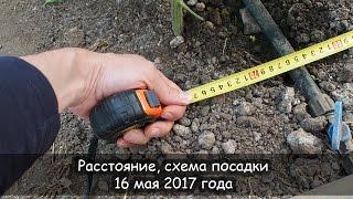 Расстояние, схема посадки, 16 мая 2017 года